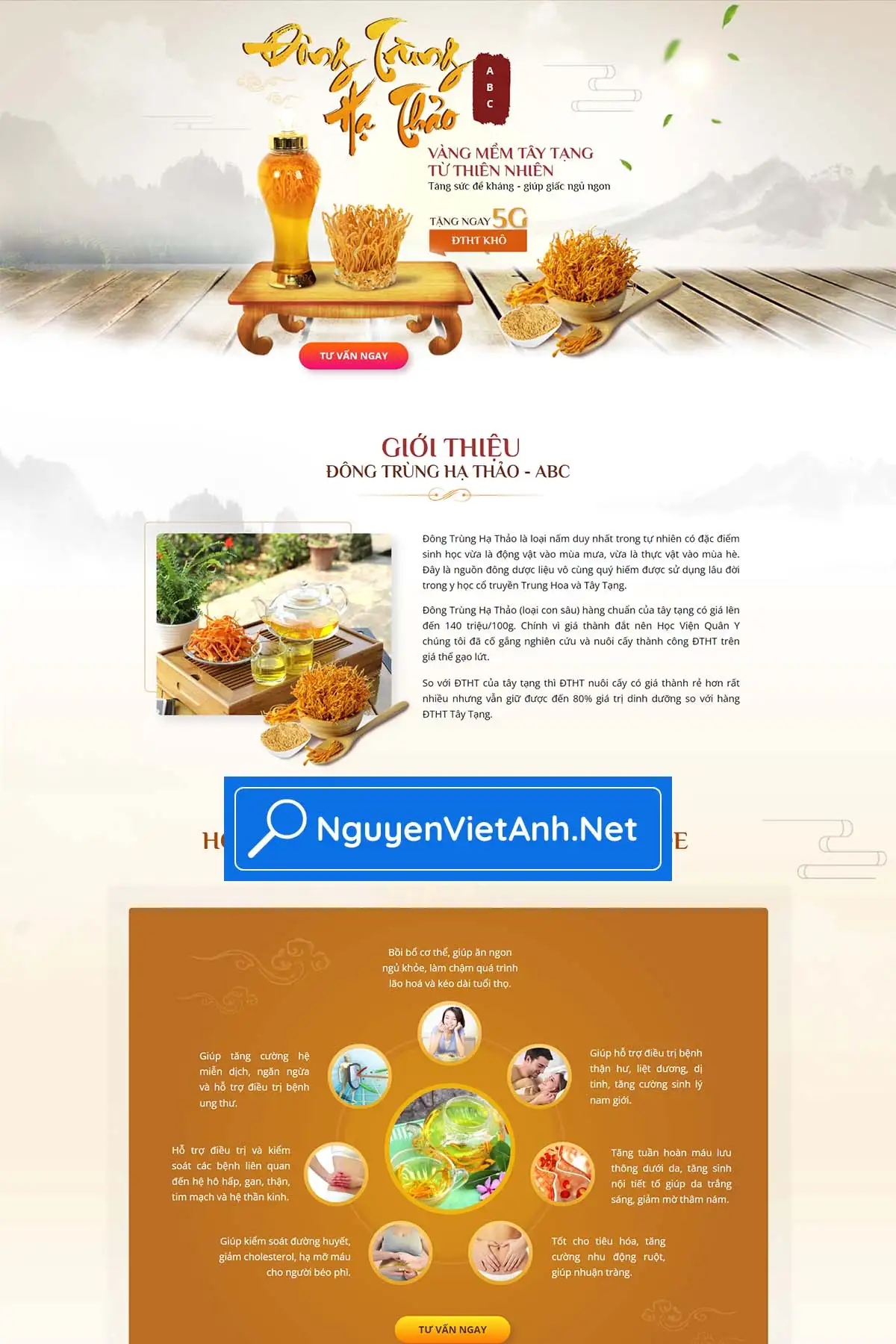 thiết kế website cho ngành kinh doanh đông trùng hạ thảo